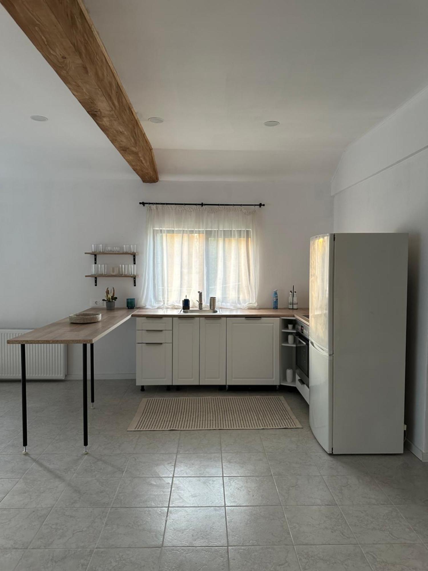 Cottage Bytheriver Arpaşu de Sus Exteriér fotografie