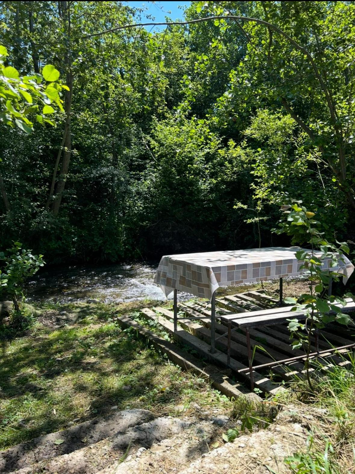Cottage Bytheriver Arpaşu de Sus Exteriér fotografie